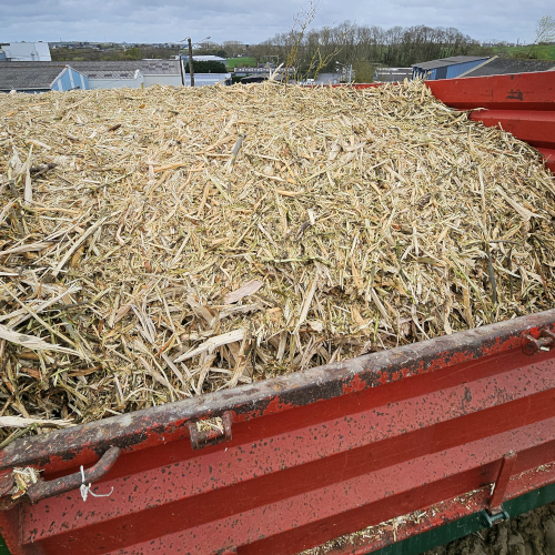 B20 - Mit seiner pick-up Vorrichtung aus zwei hydraulisch angetriebenen Rotoren nimmt er Äste, Holz und Vegetationsreste zuverlässig von der Bodenoberfläche auf.