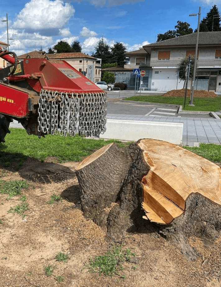 KASTOR entfernt Baumstümpfe jeder Größe schnell und gründlich bis zu einer Tiefe von 35 cm. Die leistungsstarke Rotorscheibe mit robusten HRC-Werkzeugen sorgt für eine effiziente Zerkleinerung des Stumpfes.