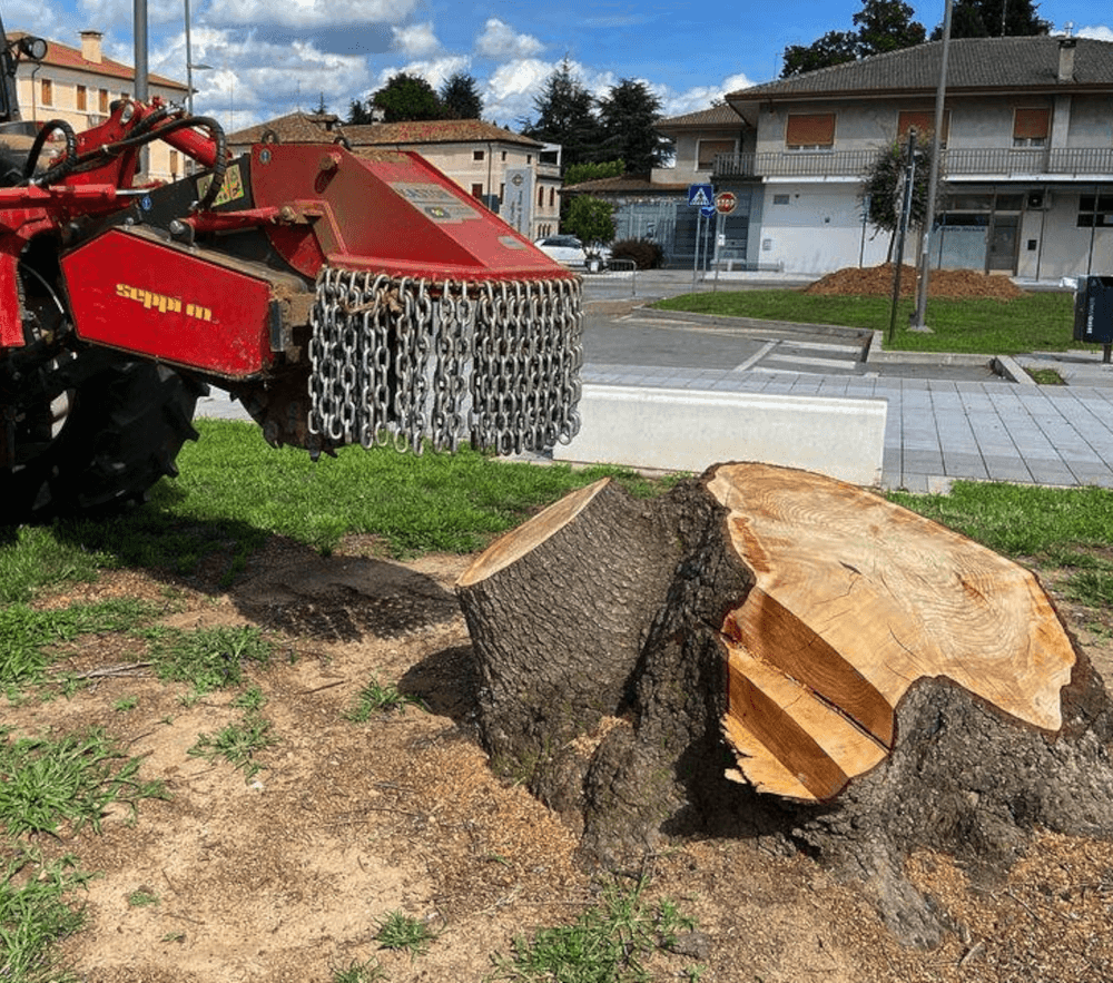 KASTOR Stubbenfräse ist eine leistungsstarke Maschine für Traktoren mit 80 bis 180 PS, die Baumstümpfe jeder Größe bis zu 35 cm tief entfernt.