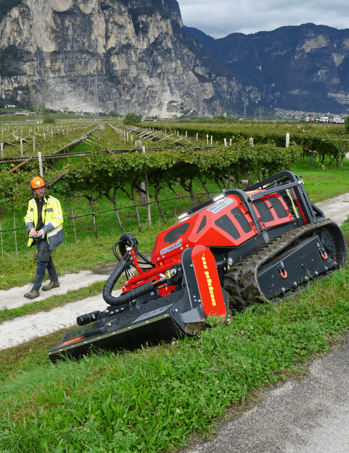 Das Raupenfahrzeug MAX 75 le ausgestattet mit dem SEPPI-Schlegelmulcher H5 rc mulcht zuverlässig Gras, Gestrüpp und dichtes Gebüsch.