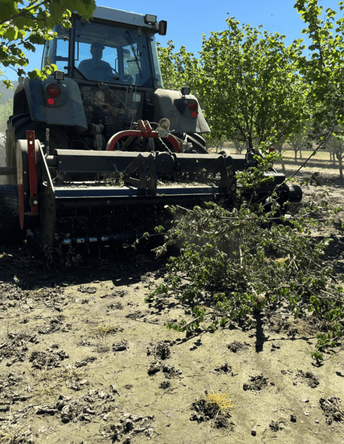 WBS dt pick-up greift Reisig und selbst dickes Schnittgut bis zu 11 cm Ø und zerkleinert es kraftvoll und sauber.