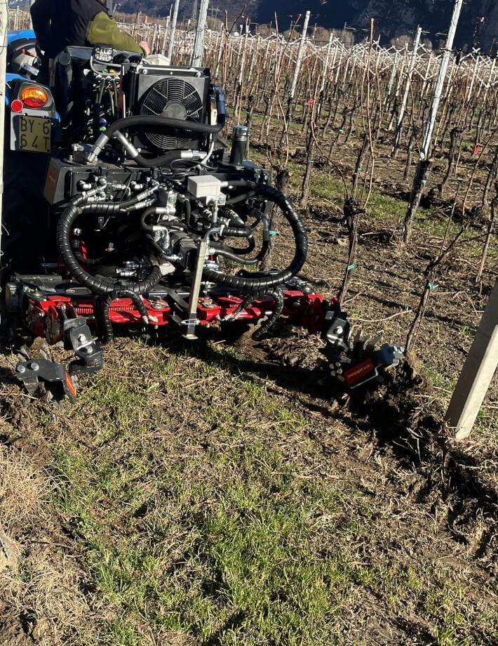 XRH Rollhacke - Zwei rotierende, gezackte Scheiben reißen junge Unkräuter aus dem Boden und bringen sie an die Oberfläche, wo sie bei trockenem, sonnigem Wetter schnell vertrocknen.