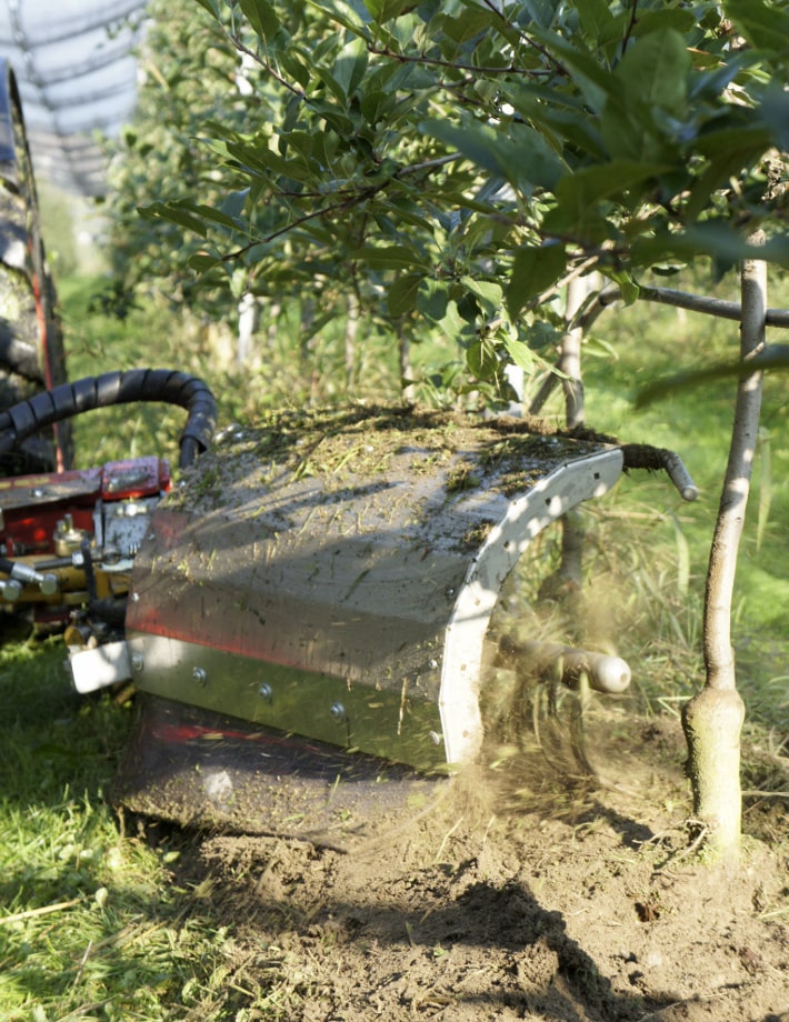 XSP - Unterstockbürste für biologischen Obst- und Weinbau säubert den Stamm und entfernt Triebe, Schösslinge und Gras am Boden