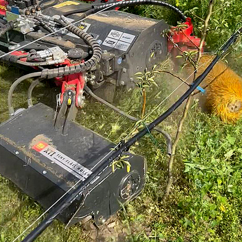 XTI mäht Gras und Unkraut bis zu 1 cm Ø und ist mit einer Schwebe-Vorrichtung ausgestattet. Die optionale Unkrautbürste XPN schrubbt mit festen Borsten die Gräser vom Stamm.
